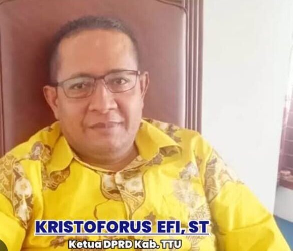 ketua-dprd-ttu-prakarsai-perda-perlindungan-nakes-dan-guru-dorong-solusi-sistemik-pascakasus-dr-icha-pakaenoni